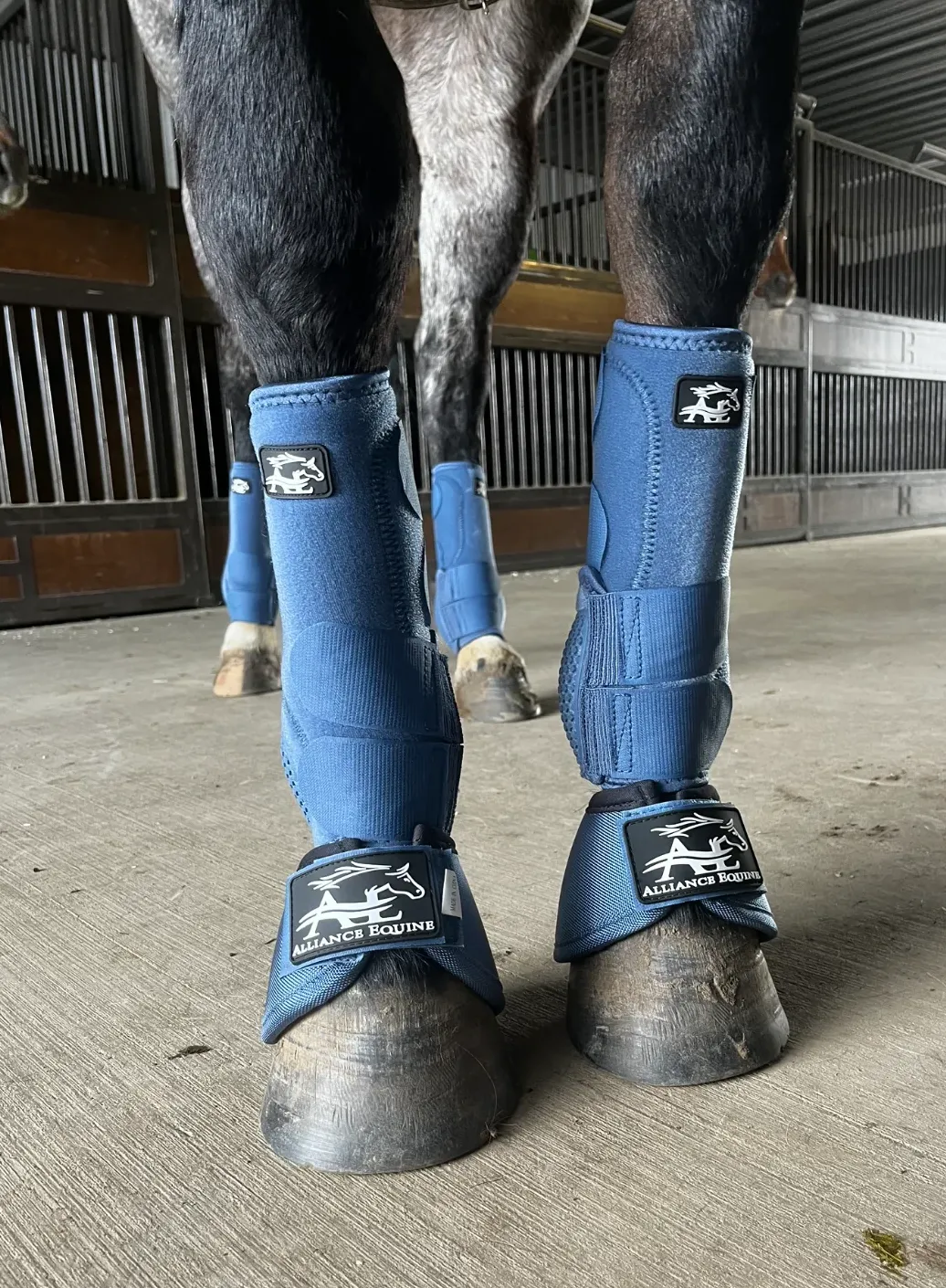 Alliance Equine V10X Protective Performance Boots 2 Pack