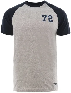 Fox Baseball Short Sleeve Raglan T-Shirt in Grey Marl