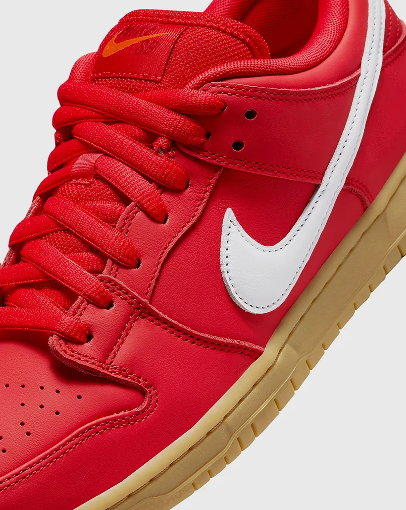 Nike SB Dunk Low Pro Shoe